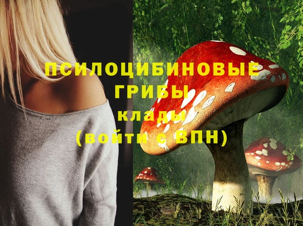 спиды Переславль-Залесский