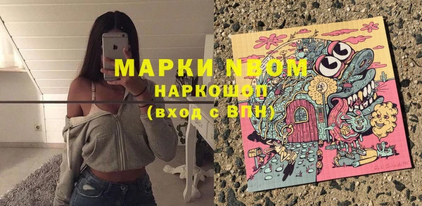 винт Пересвет