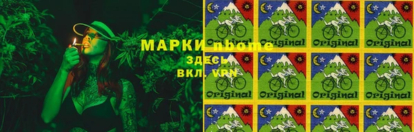 дурь Пестово